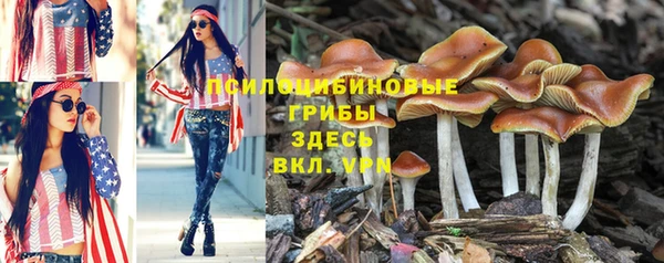 jwh Арсеньев